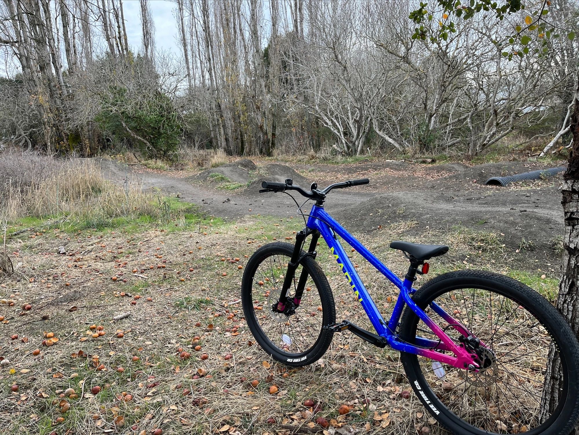 balance wheels for bike